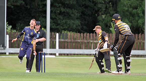 Brown celebrates his dismissal of McCormick, caught and bowled (CricketEurope)
