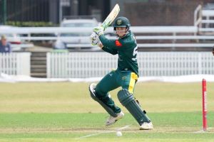 John McNally batting for Randwick Petersham